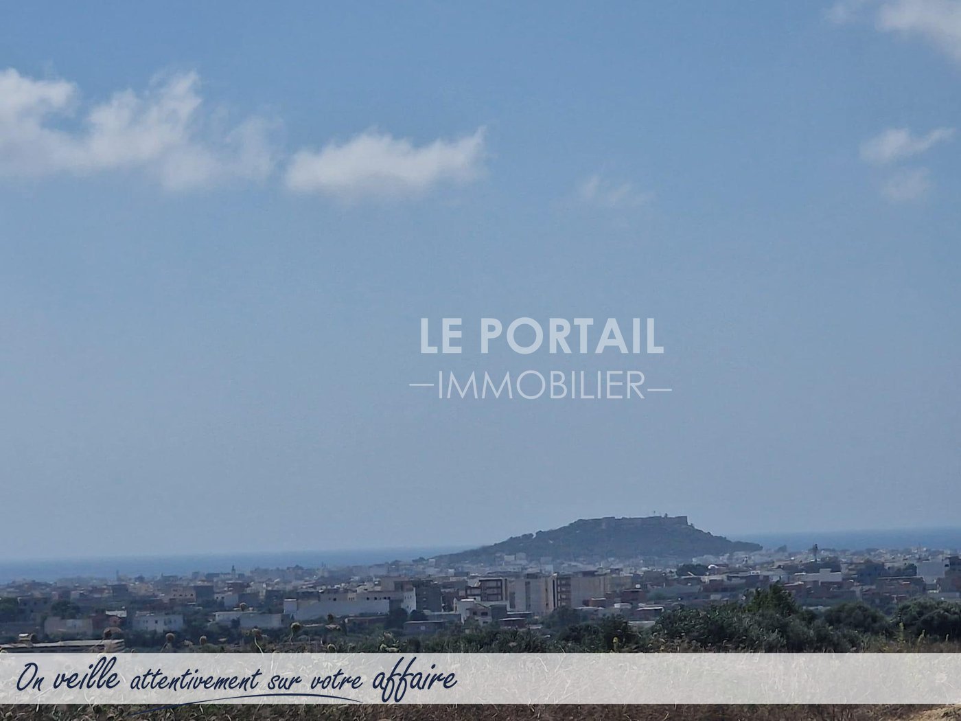 blog